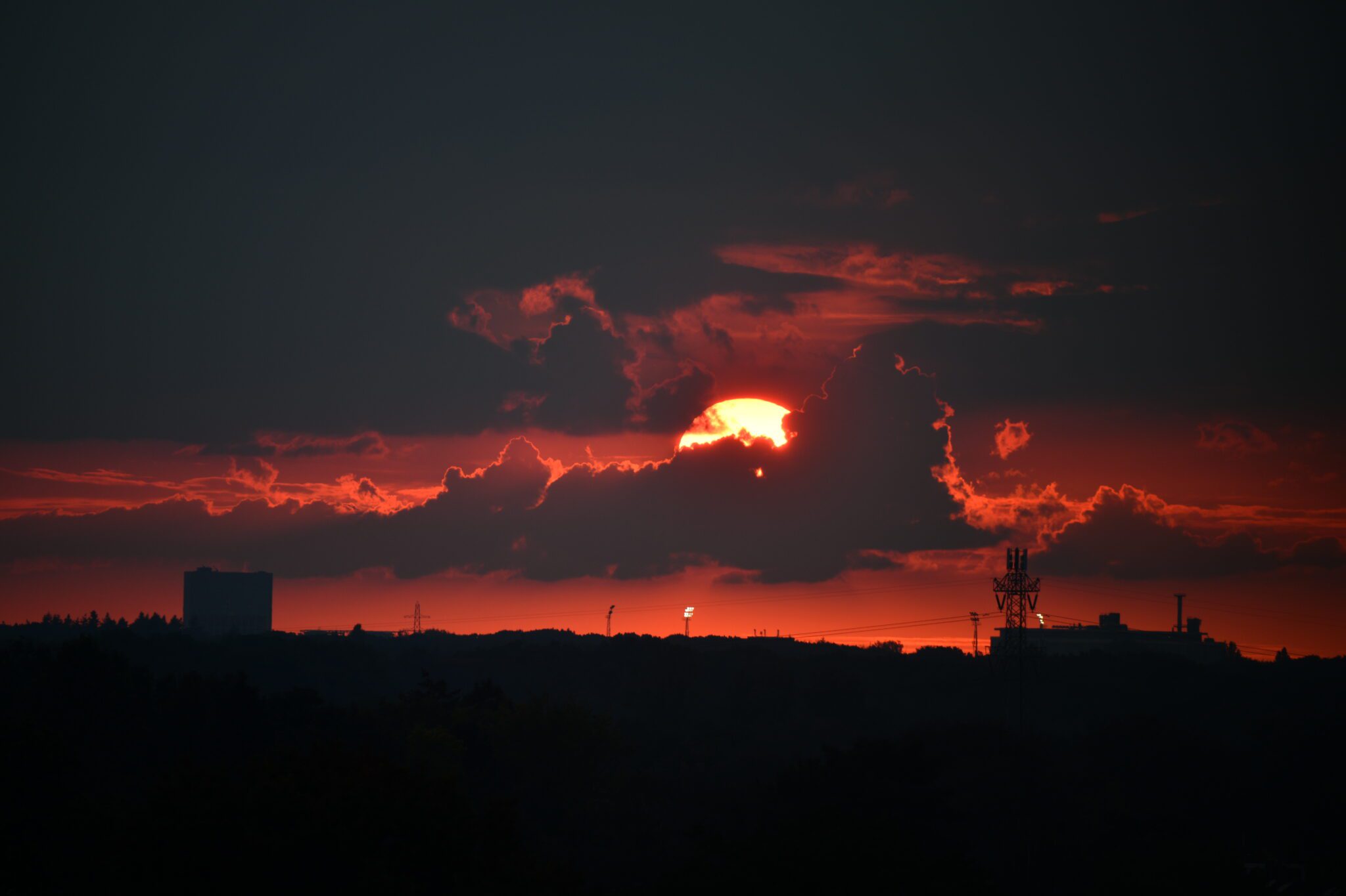 DSC_0297