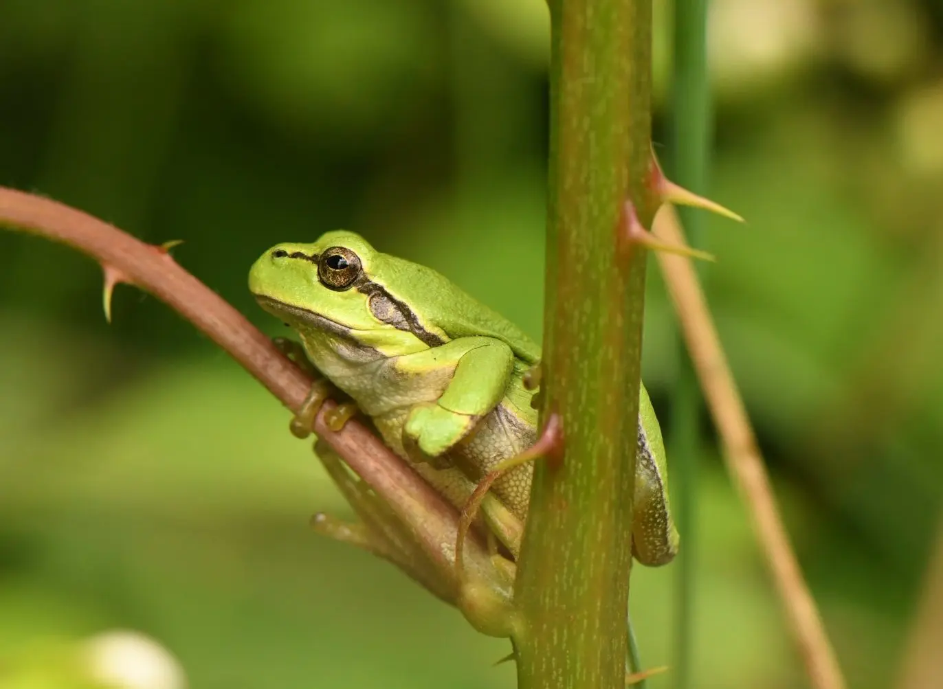 DS2_3506-e1658247477383