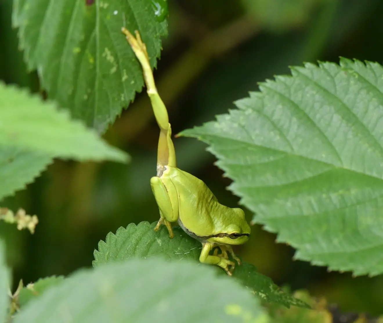 DS2_8573-e1658310047527