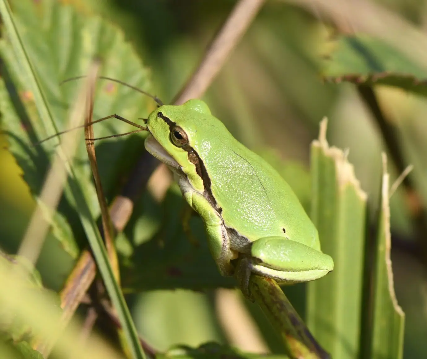 DSC7203-scaled-e1727347378500