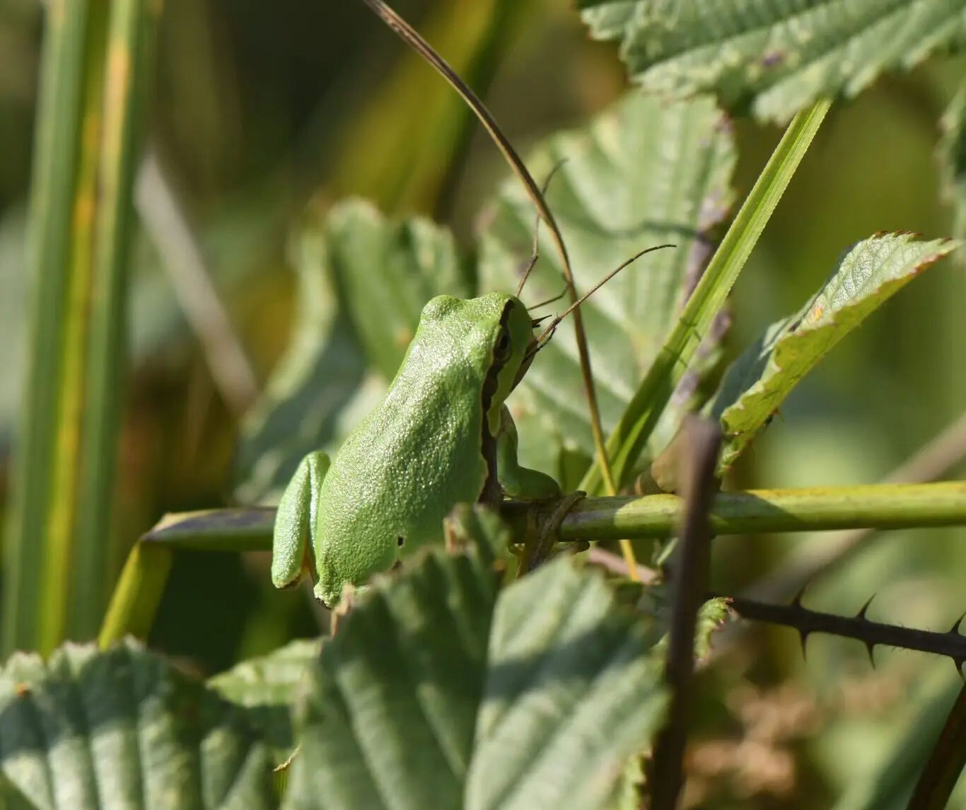 DSC7208-scaled-e1727347438978