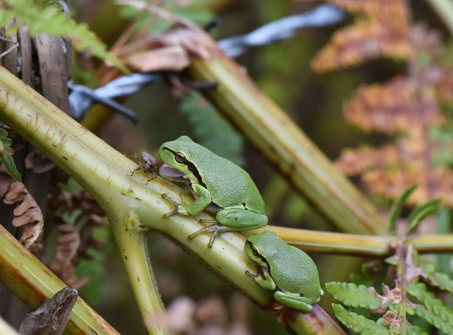 DSC_4688-e1658247294371