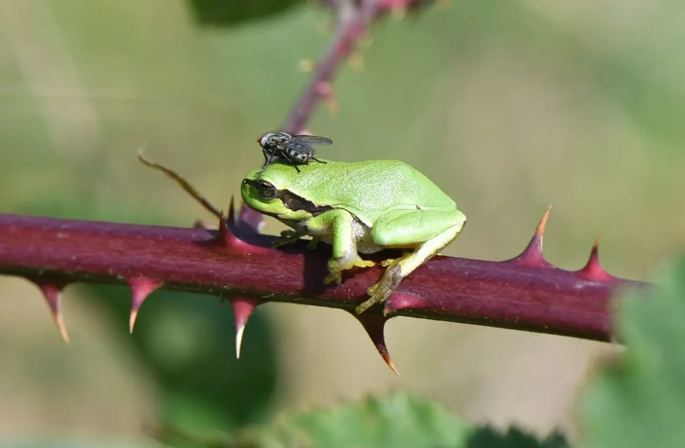 DSC_4786-e1658247496134