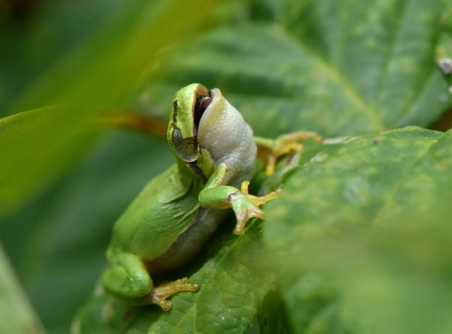 DSC_5129-e1658247551309