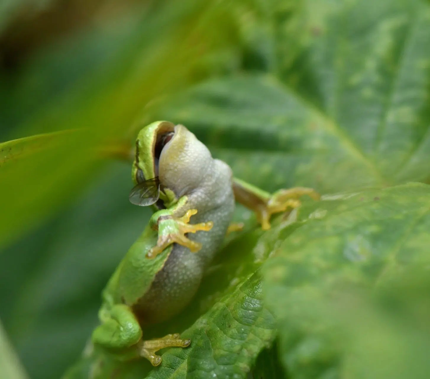 DSC_5130-1-e1658247271922