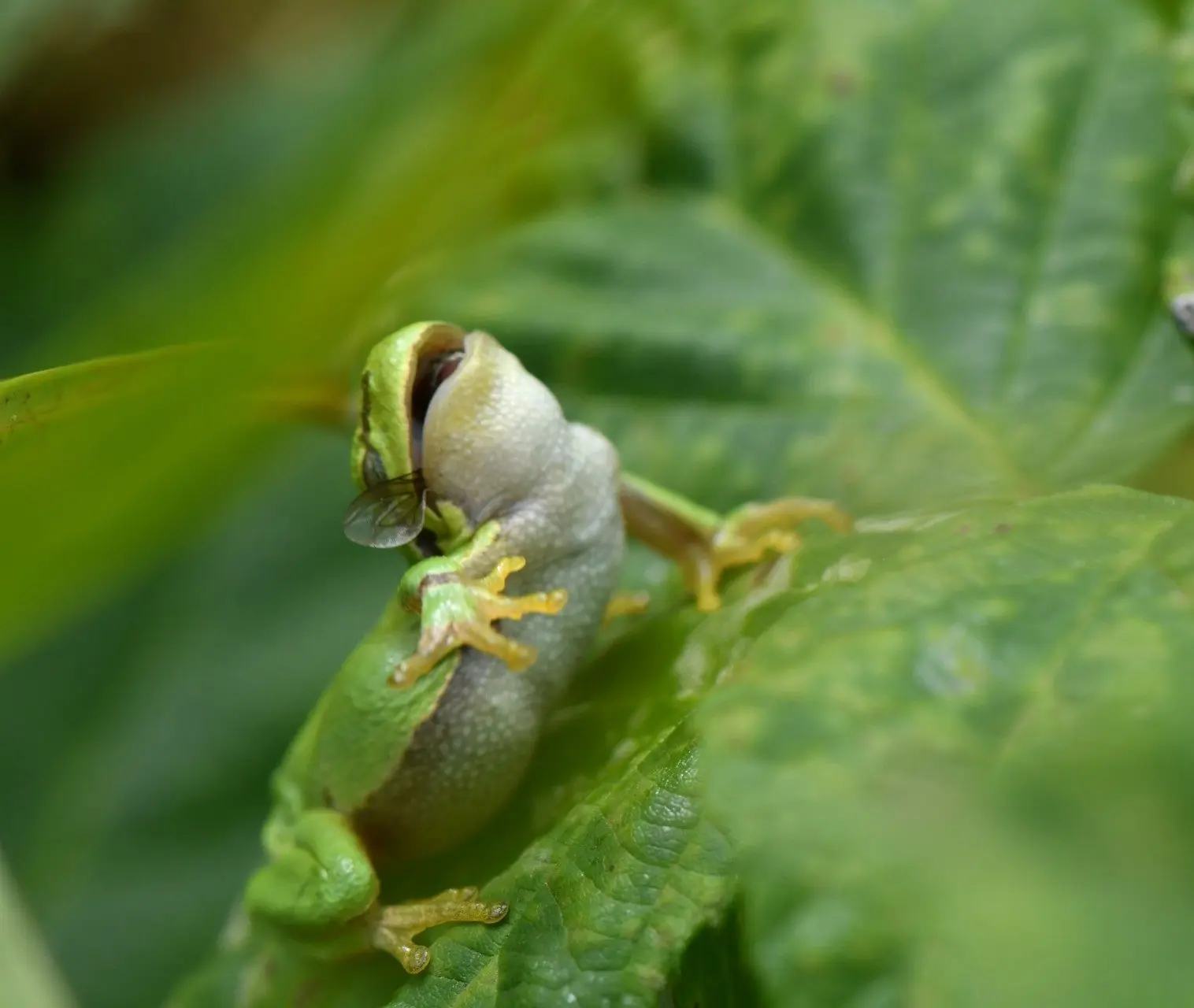 DSC_5130-e1658247220680