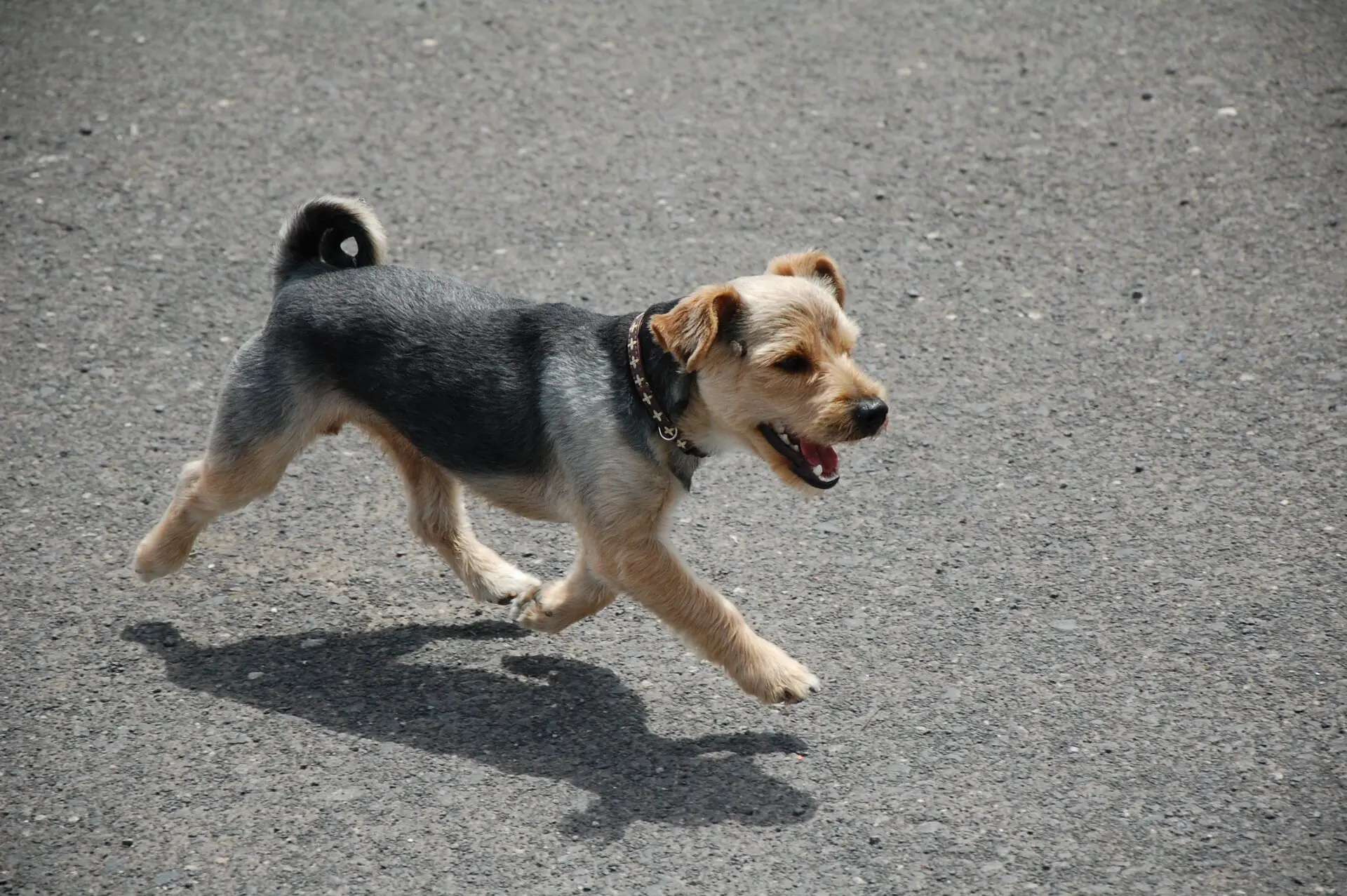 Playa-Blanca-07-2011-664-scaled