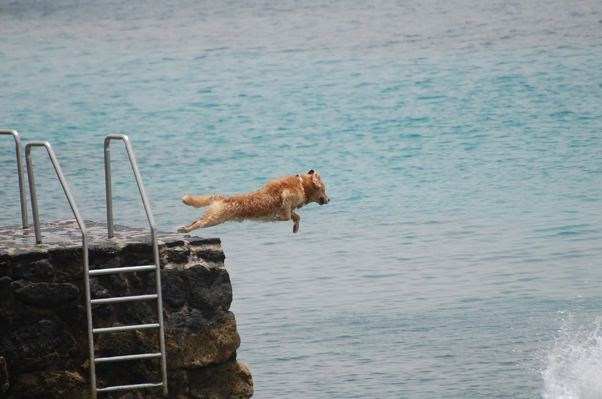 Playa-Blanca-25-06-2012-251-2